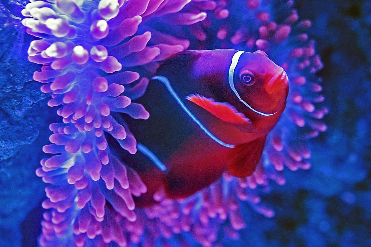 Nigeria's National Assembly Passes Electoral Reform Bill