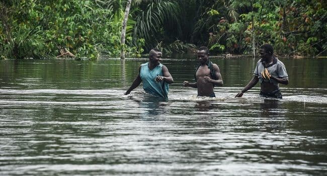 Three Killed, 1,415 Households Affected By Flash Floods In Adamawa — NEMA